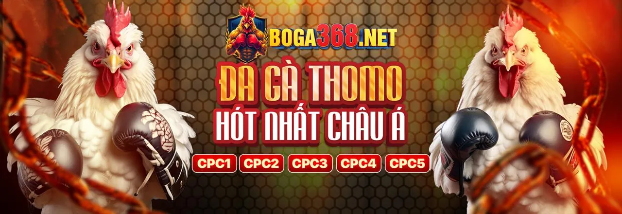 Tổng quan các loại trò chơi win99 và chiến lược chơi