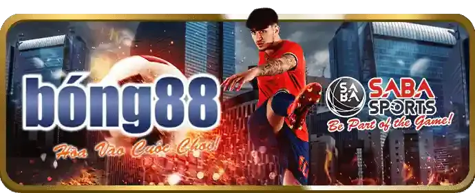 Hoàn trả cao